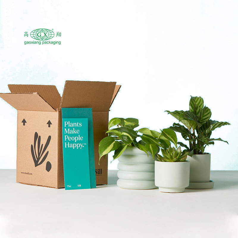 Embalaje de caja de papel de flores de plantas planas corrugadas reciclables personalizadas personalizadas